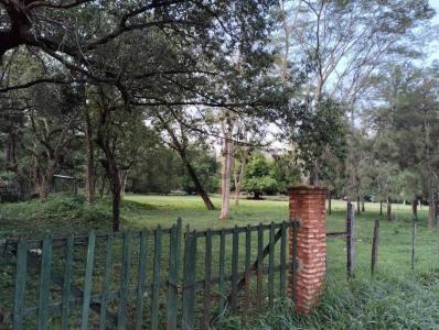 Barrio Primavera , Luque, Central 00001, Paraguay