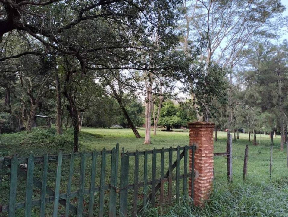 Barrio Primavera , Luque, Central 00001, Paraguay