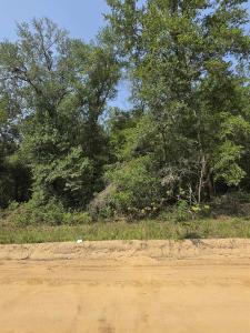 0 Sherman Drive Circle, Interlachen, فلوريدا 32148, الولايات المتحدة