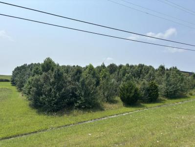 0 S R 8 Drive, Dunlap, Tennessee 37327, USA
