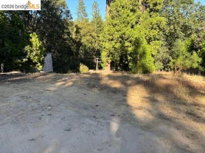 Wildcat Ridge, Sonora, California 95370, HOA KỲ