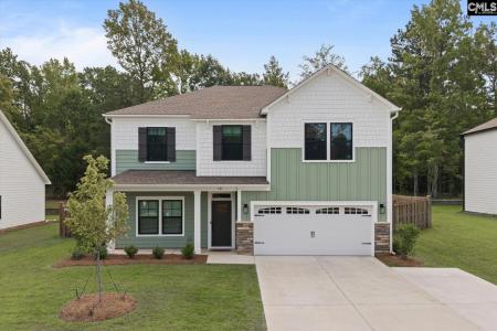 191 Collins Cove Drive, Chapin, Caroline Du Sud 29036, États-Unis