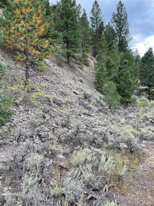 1577 Mears Lane, Salida, Colorado 81201, Estados Unidos