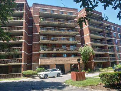 1374 Midland Avenue #214, Bronxville, New York 10708, Stati Uniti