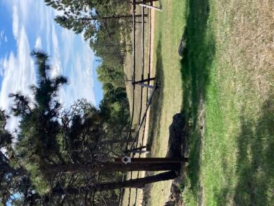 200 Alta Vista Rd, Granite Canyon, Wyoming 82059, USA
