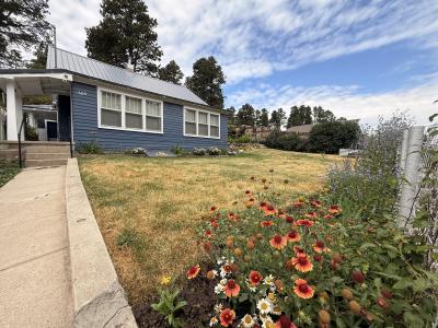 609 Samo Street, Lead, South Dakota 57754, Stati Uniti
