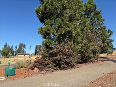 585 Sunset Drive, Para, California 95969, USA