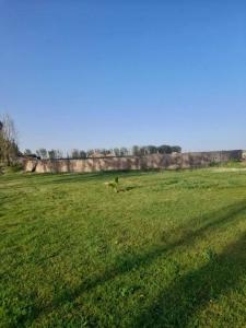 Los arrayanes , Lavalle, Mendoza 00001, Argentine