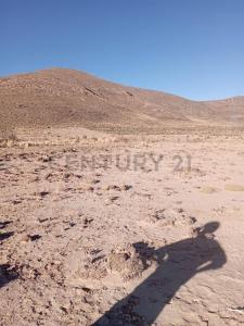 Norte, Oruro 00001, Bolivien