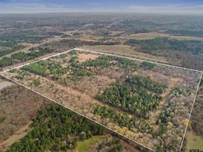 19955 County Road 4118, Lindale, Texas 75771, USA