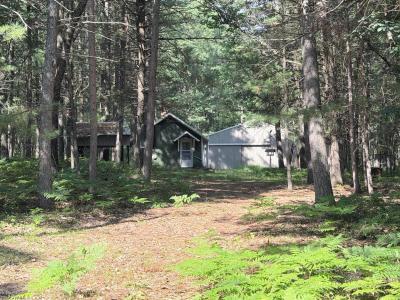 10870 Thoman Trail, Roscommon, Michigan 48653, USA