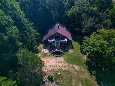 340 Cross Creek Trail, Chapin, Caroline Du Sud 29036, États-Unis