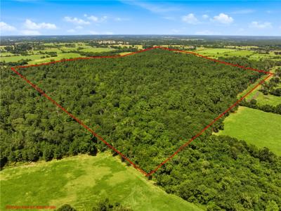 118.25 Acres Cr 278c, Anderson, Texas 77830, USA