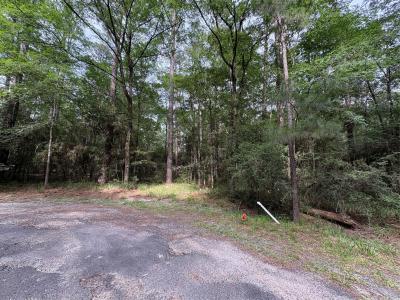 TBD N Clear Spring Road, Trinity, تكساس 75862, الولايات المتحدة