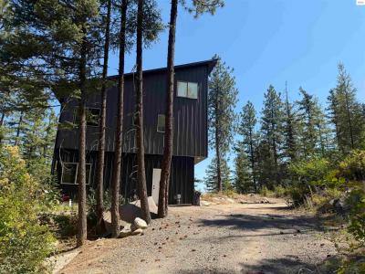 787 Delaney Dr., Sagle, Idaho 83860, HOA KỲ