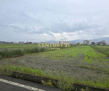壯志段, Zhuangwei Township, Yilan 263, Taiwan
