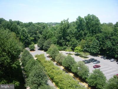 2230 George C Marshall Drive Unit# 902, Falls Church, Virginia 22043, USA