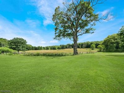 17 Fergerson Road, Wantage Township, New Jersey 07461, USA