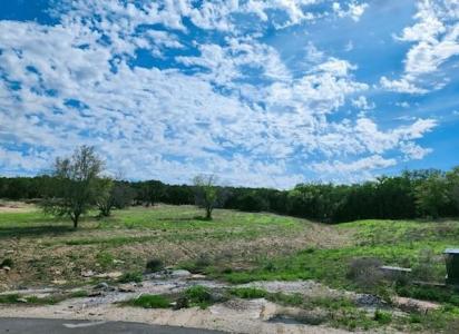 2047 Lacee Court, Granbury, Texas 76048, HOA KỲ