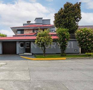 11374 Manuel  Payno 55,, Naucalpan, מקסיקו 53100, מקסיקו 