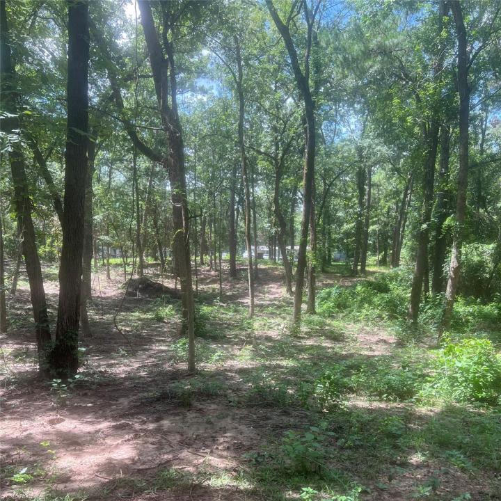 TBD Azalea Ln, Mount Vernon, Texas 75457