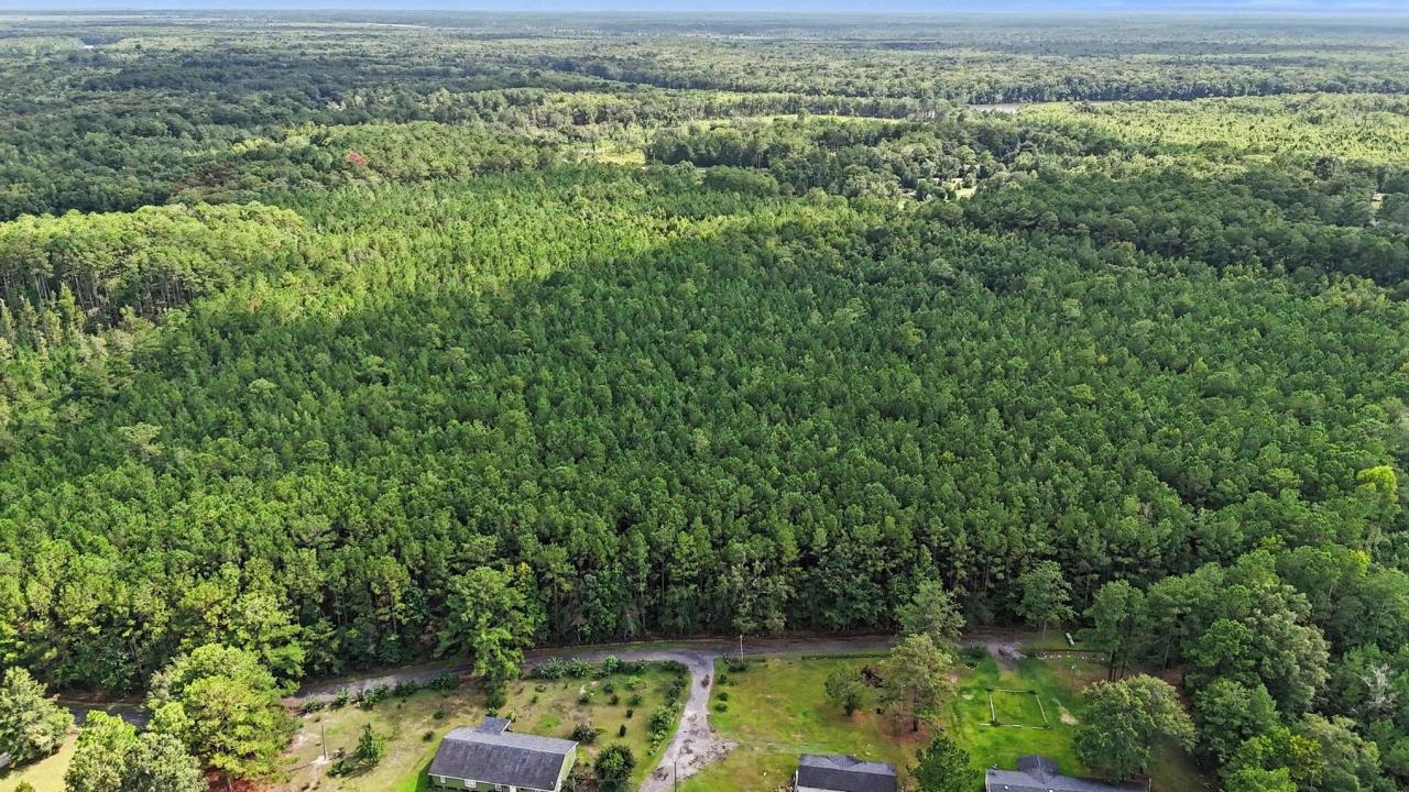 TBD Rustwood Dr., Georgetown, Carolina Do Sul 29440, Estados Unidos
