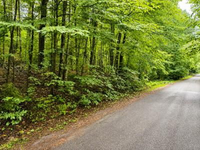 1.98 AC on Nighthawk Ln., Presque Isle, Wisconsin 54557, États-Unis