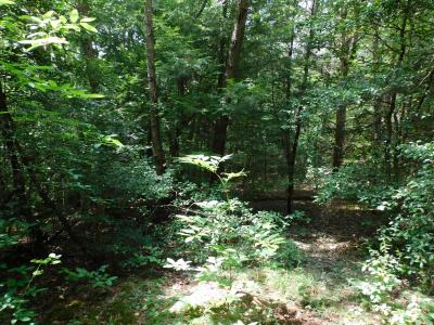 0 Old Highway 56, Coalmont, Tennessee 37313, USA