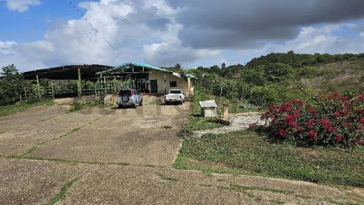 Chichiriviche Finca en venta Yaracal Municipio Manaure Falcon, Chichiriviche, Falcón 00001, Venezuela