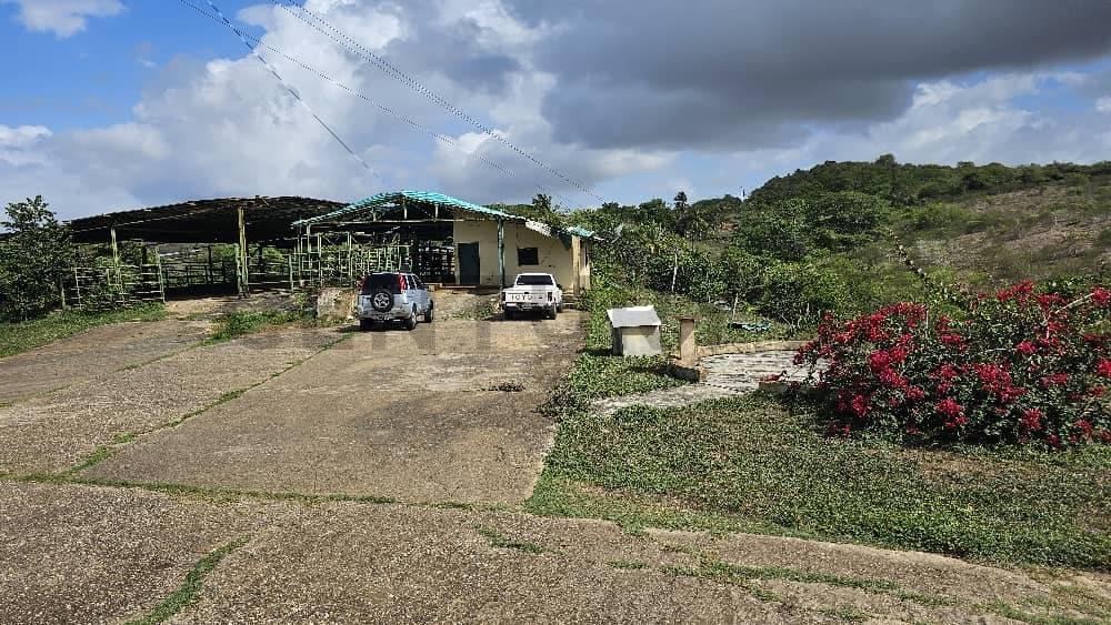 Chichiriviche Finca en venta Yaracal Municipio Manaure Falcon, Chichiriviche, Falcón 00001, Wenezuela