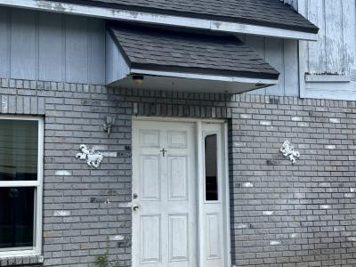 717 Gasparino Ct, Seffner, Florida 33584, Amerika Birleşik Devletleri