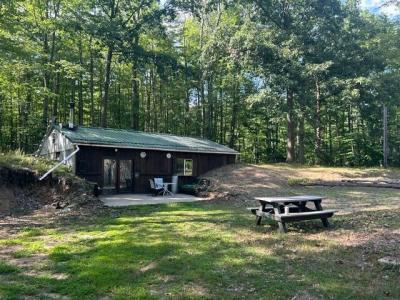 9841 River Road, Mecosta, Michigan 49332, Stati Uniti