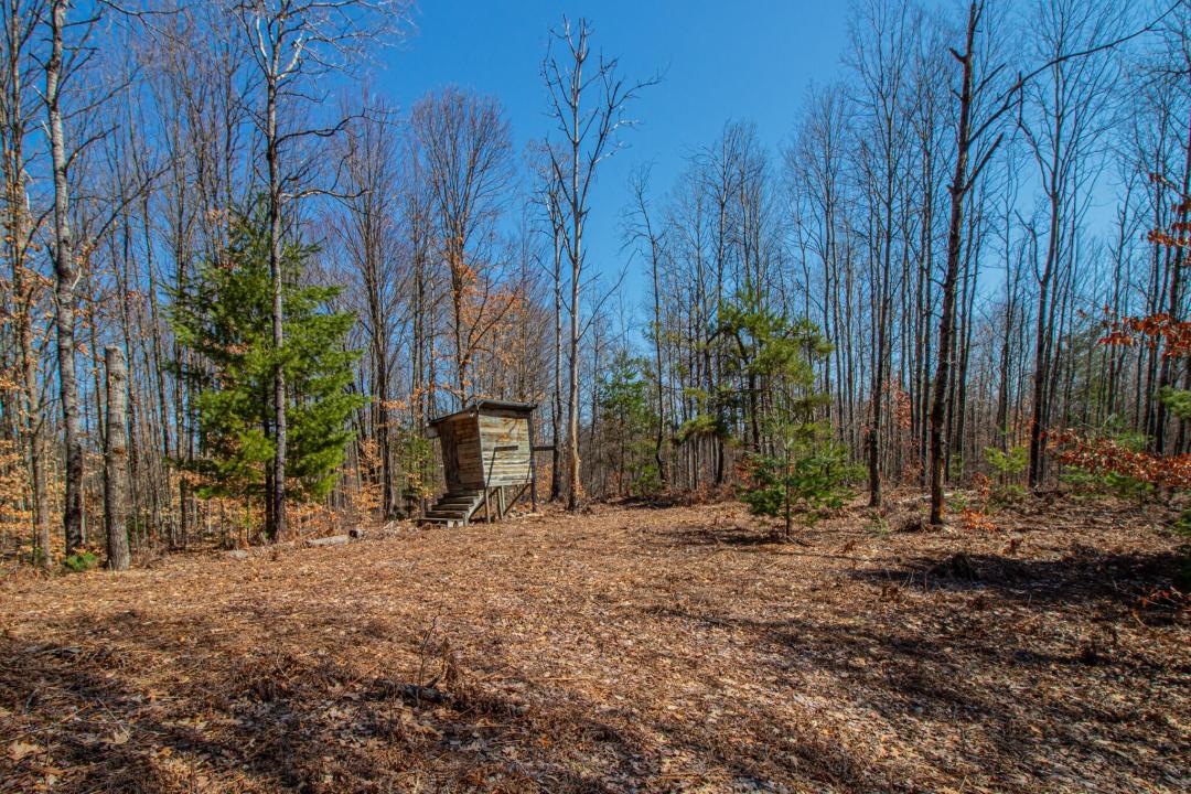 3069 E Monroe Street, White Cloud, Michigan 49349, États-Unis