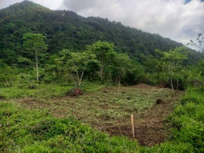 Rotaria Urbanizacion el Bosque 2, San Cristóbal, Táchira 00001, Venezuela