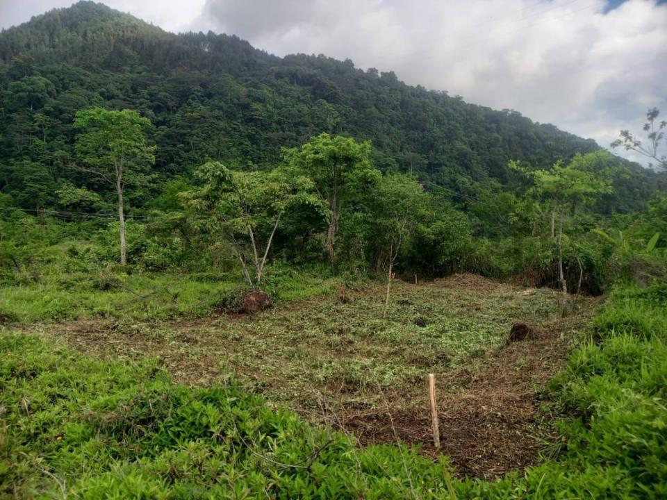 Rotaria Urbanizacion el Bosque 2, San Cristóbal, Táchira 00001, Venezuela