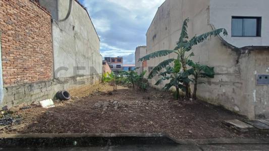 Urbanización el viñedo 3, Palo Gordo, Táchira 00001, Venezuela
