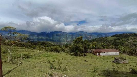 Cordero, Táchira 00001, Venezuela