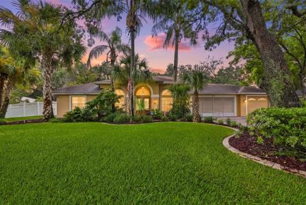 18416 Autumn Lake Blvd, Hudson, Floride 34667, États-Unis