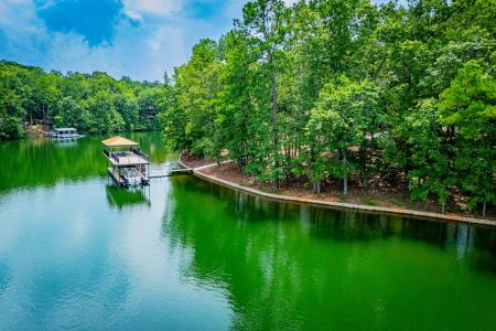 741 Firefly Lane Lot 17 and Lot 17A, Lineville, Alabama 36266, Stati Uniti