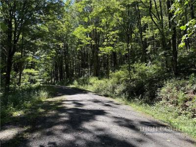 7 Wolfsbane Lane, Todd, Caroline Du Nord 28684, États-Unis