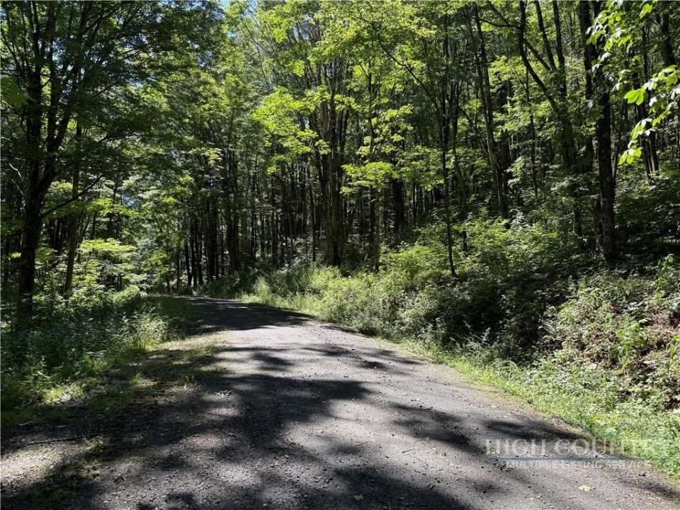 7 Wolfsbane Lane, Todd, Caroline Du Nord 28684, États-Unis