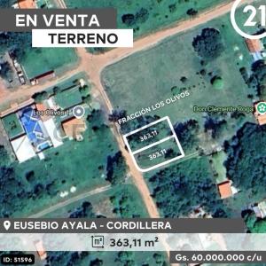 Los Olivos I - Eusebio Ayala, Cordillera , Eusebio Ayala, Cordillera 00001, Paraguay