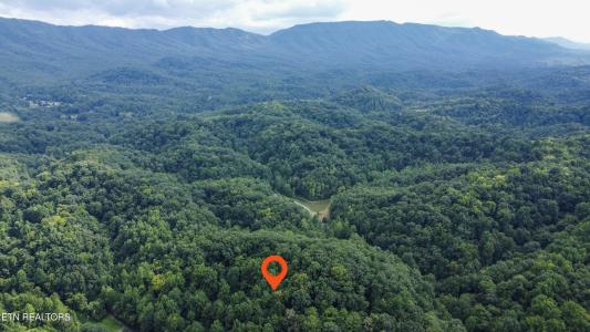 Hawk Lane, Seymour, Tennessee 37865, USA