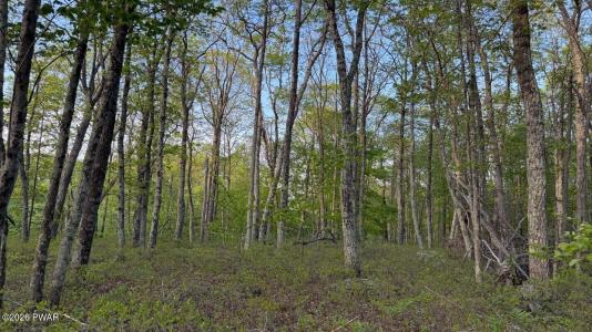 Lot 151 Wedgewood Dr, Hawley, Pennsylvania 18428, USA