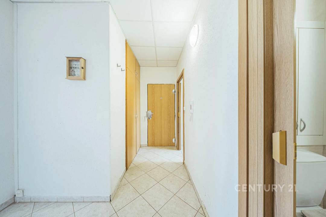 Křimická, Plzeň, Plzeň-město 31800, チェコ共和国