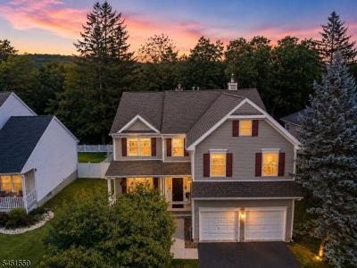 46 Saxton Dr, Hackettstown, New Jersey 07840, USA