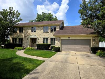 14020 Blackhawk Lane, Orland Park, Illinois 60462, Stati Uniti