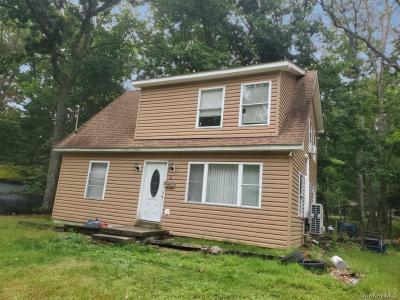 21 Minisink Trail, Glen Spey, New York 12737, États-Unis
