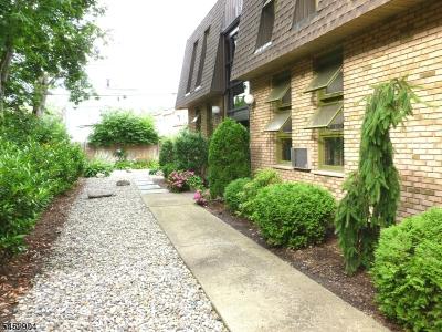 295 Claremont Ave , 8, Montclair Twp., New Jersey 07042-2831, USA