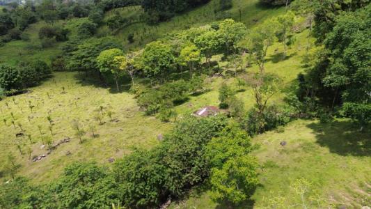 Santa Teresita Turrialba, Cartago 30505, Costa Rica